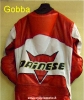 APPLICAZIONE GOBBA BICOLORE